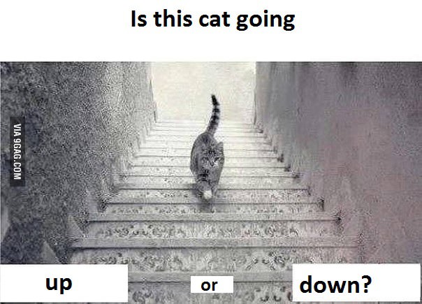 このネコは階段を降りている？登っている？