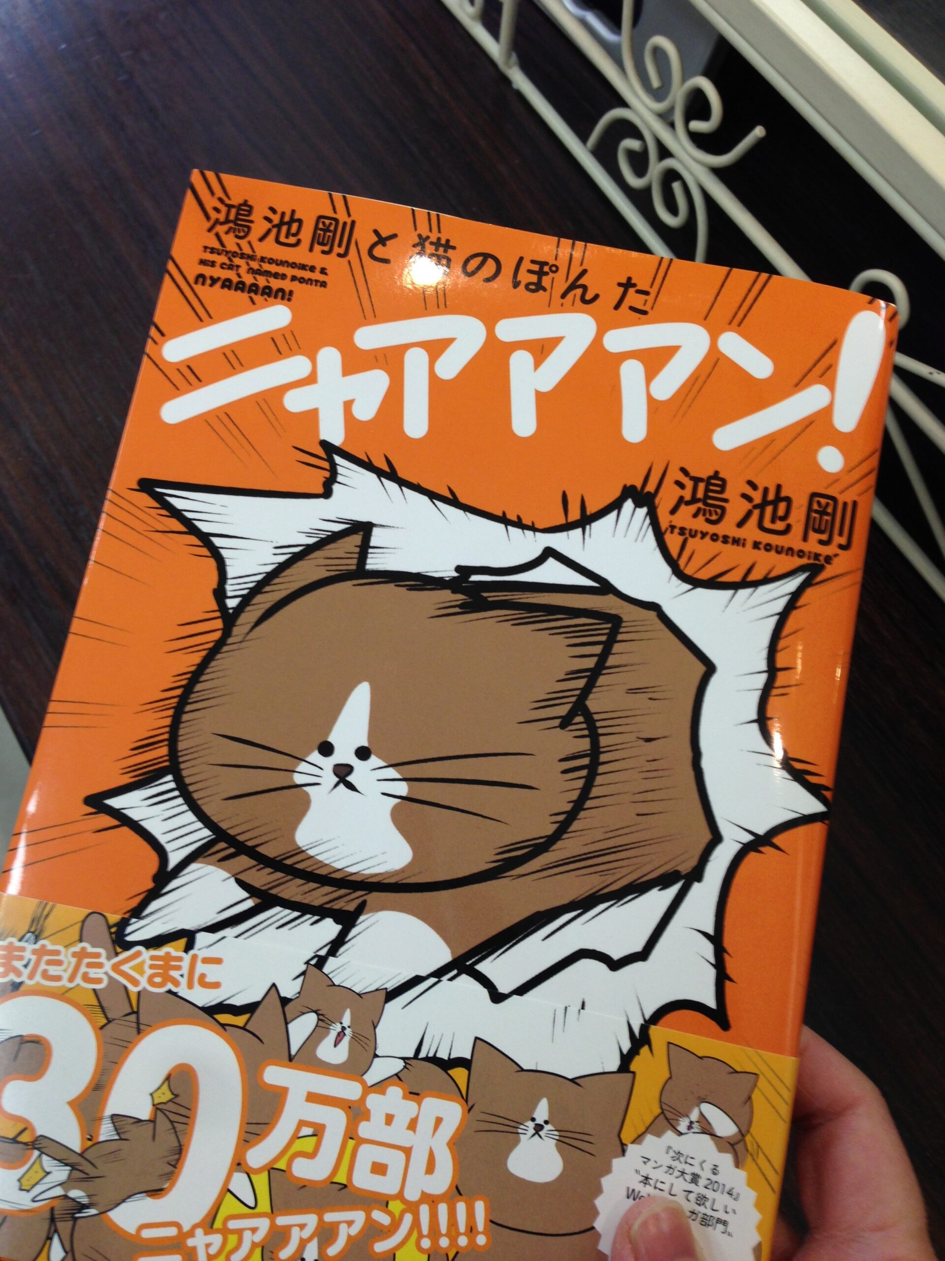 猫好きにはたまらない！？
