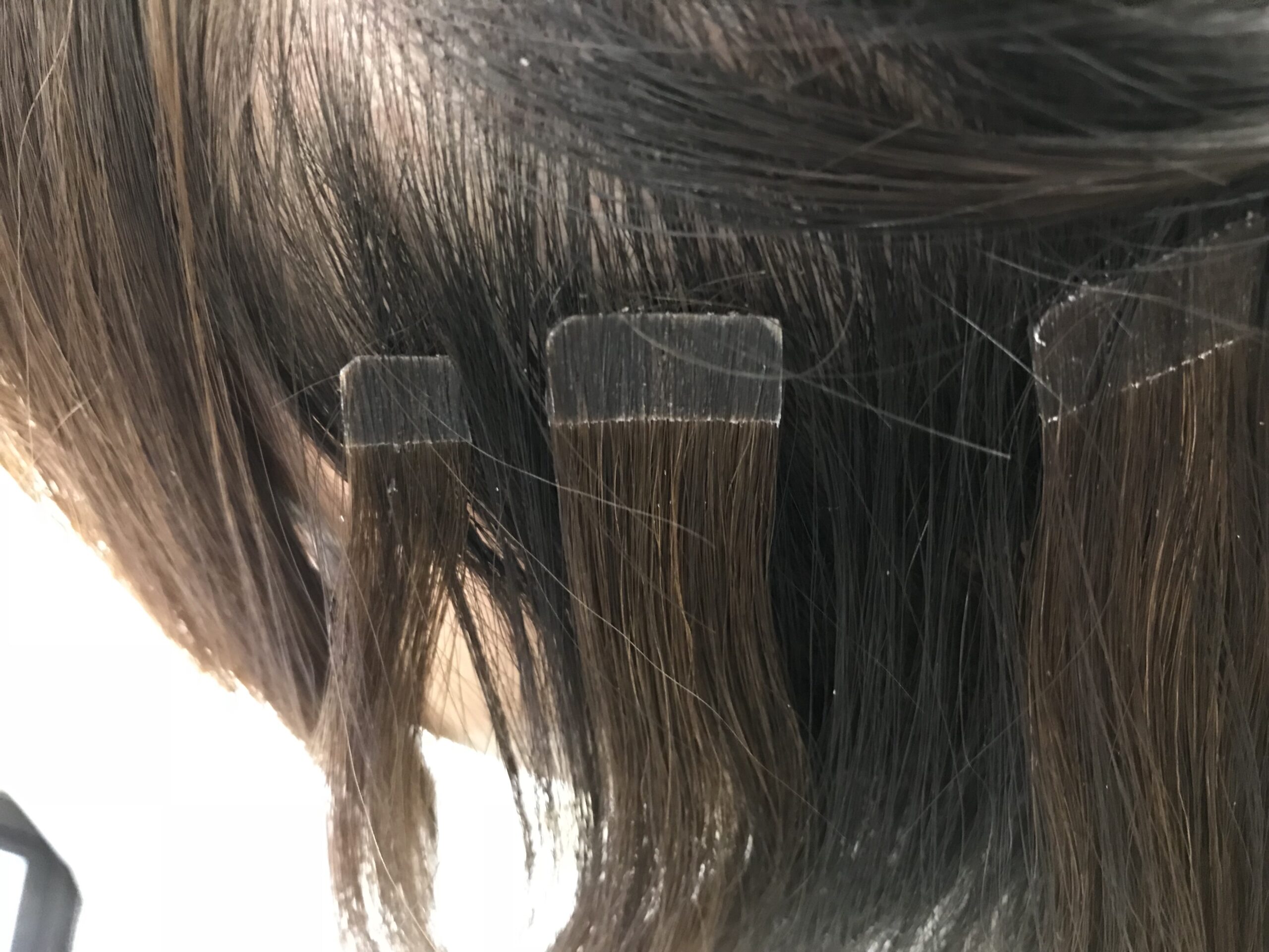 【検証】シールエクステ（ヘアトーク）の1ヶ月後って…